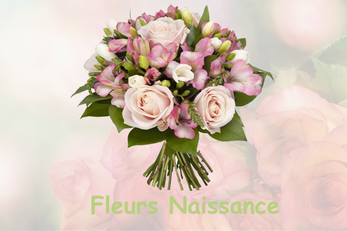 fleurs naissance VILOSNES-HARAUMONT