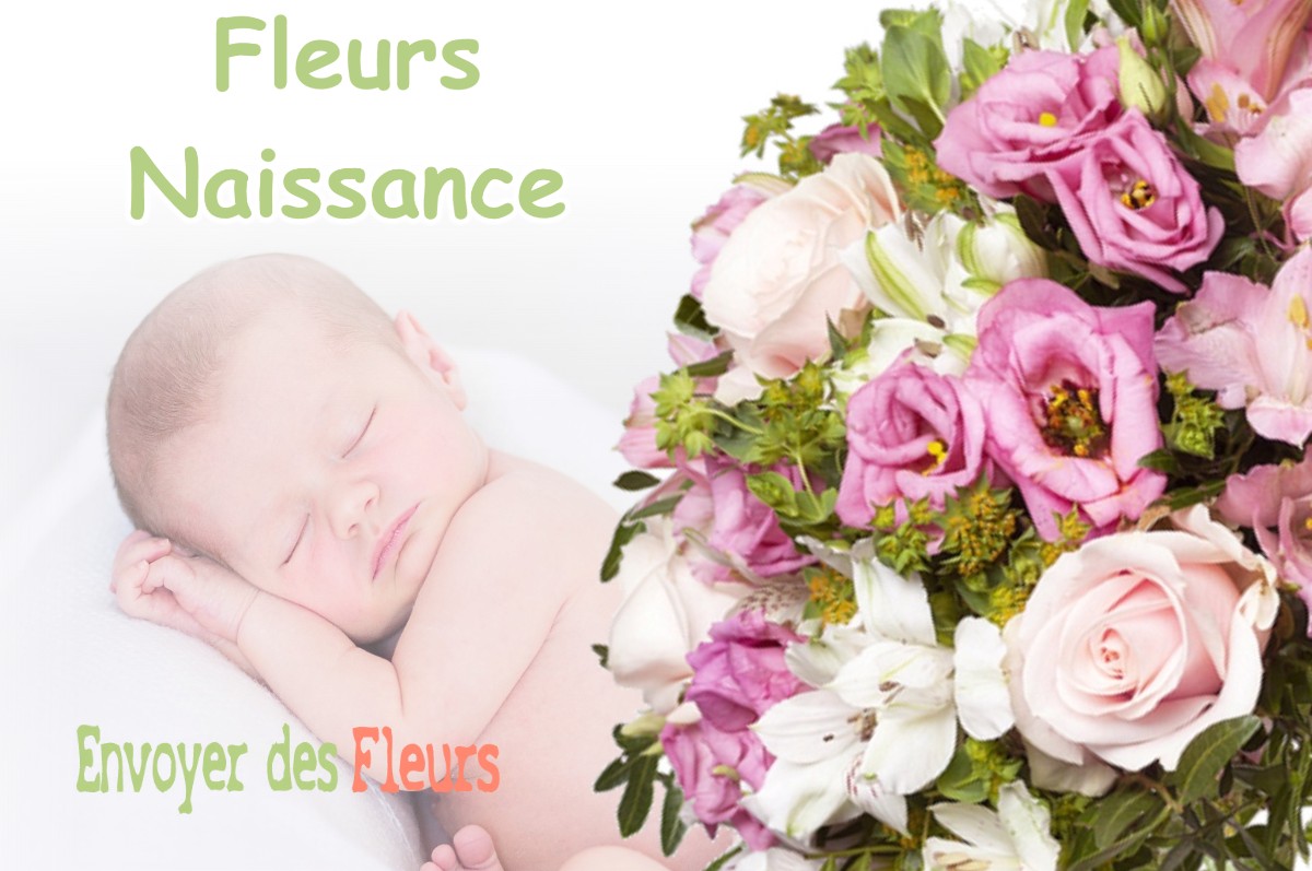 lIVRAISON FLEURS NAISSANCE à VILOSNES-HARAUMONT